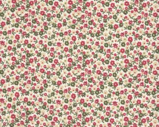 Flor e Fruto 015