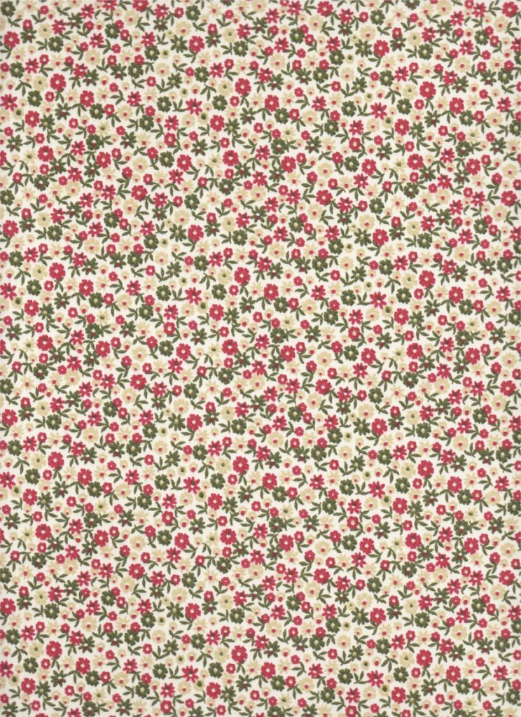 Flor e Fruto 015