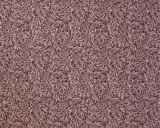 Flor e fruto 081