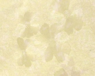 Vinil Decorativo - Decor 006