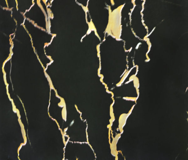 Vinil Decorativo PVC - Nero Marquino